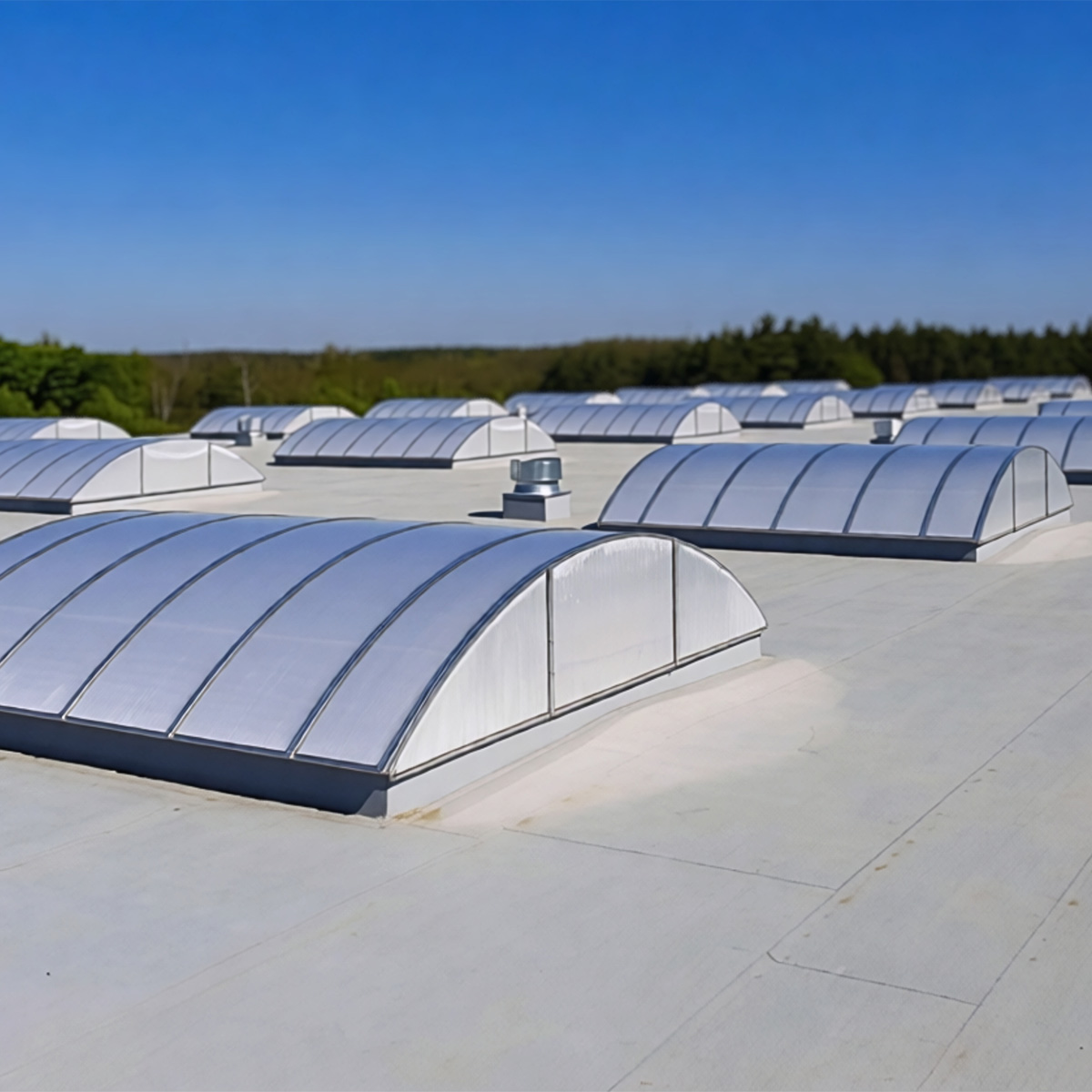 Benefits of Natural Daylighting in Industrial Halls: Energy Efficiency and Working Comfort
